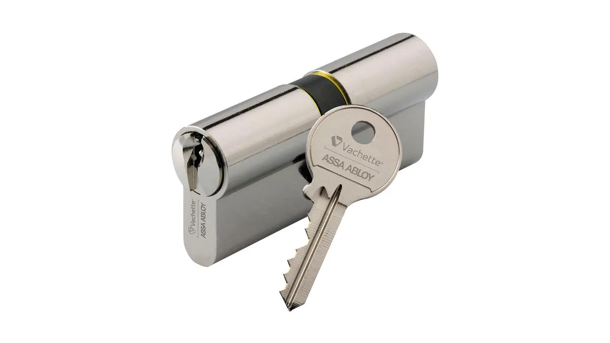 Cylindre Mécanique de Porte Vachette, Canon Vachette Pour Fermeture Porte, Finition Nickel, Cylindre double, Gamme Economique, Sécurité Porte