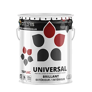 COLORIS Universal 20 Kg, Peinture à Huile Haute Qualité, Peinture Brillante, Peinture Pour Intérieure et Extérieure, Bois, Plâtres et Métaux