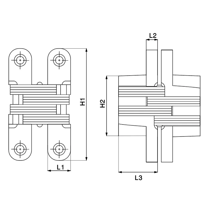 CLEDOR Paumelle Encastrée Invisible 95x19, Finition Satinée, Articulation En Inox