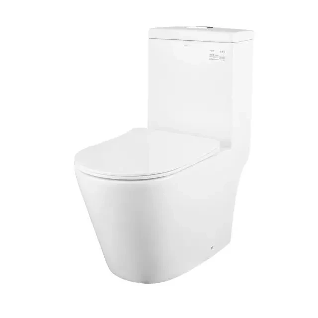 ARROW Chaise Anglaise AHWB1302P, Toilette En Porcelaine, Sortie Arrière, Deux Boutons Chasse D'eau