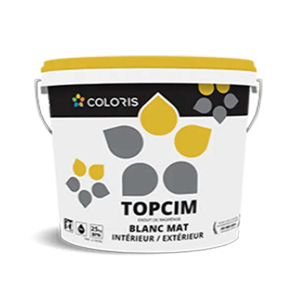 COLORIS Topcim 25kg, Aspect Blanc Mat, Pour Intérieur Et Extérieur, Dressage Des Parois De Maçonnerie